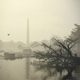 THE DIVISION 2